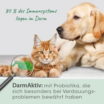 CdVet DarmAktiv Hund & Katze 2 CdVet DarmAktiv Hund & Katze – Bild 2
