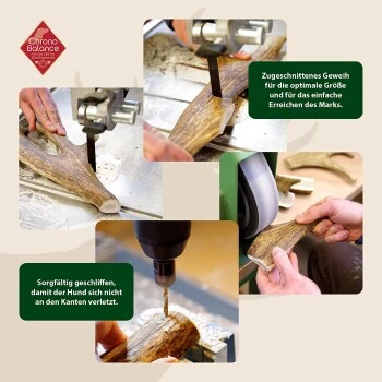 ChronoBalance Kaugeweih Damhirsch (S) 2er Paket 2 ChronoBalance Kaugeweih Damhirsch (S) 2er Paket – Bild 2