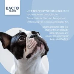 ChronoBalance BactoFacto Probiotischer Geruchsstopp Pads Für 2 Liter 20 Ml -Heimtierbedarf Geschäft 6515b6e6800e68909a0a5f7e0f816613e8c36542 1397549 de DE 9a466fcf5c88e78df191b07c6d764f4746df49dcxtsIbT
