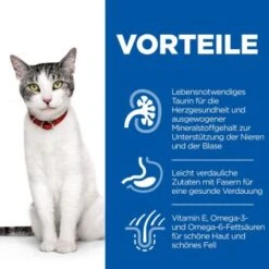 Hill's Science Plan Senior 11+ Mit Huhn 3 Kg 11 Hill's Science Plan Senior 11+ Mit Huhn 3 Kg -Heimtierbedarf Geschäft 65355ea3910df3a9bf78bcc29cf7e0f454b27f86 52742023359 4