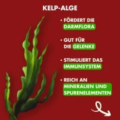 Irish Pure - Rind, Huhn + Gemüse & Kelp 1,5 Kg -Heimtierbedarf Geschäft 6614a262a5338c400049d067ca043e5726b4882d 1274248 de DE c743aaaf5de4844ec31cc2b80926e5beb042a8ccwoyMTt