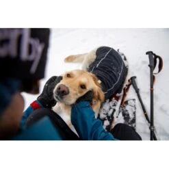 Ruffwear Cloud Chaser™ Hundejacke Schwarz XXS 19 Ruffwear Cloud Chaser™ Hundejacke Schwarz XXS -Heimtierbedarf Geschäft 663863851733872c9a7a7a5137c57cadf708e304 1369623 de DE 51d1c132eb566a7eb9e278708f64567d4e47a10eLvqV28