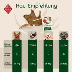 ChronoBalance Kaugeweih Damhirsch (S) 2er Paket 6 ChronoBalance Kaugeweih Damhirsch (S) 2er Paket -Heimtierbedarf Geschäft 66dad232a7a3277a8c2b14c2f9028958861bcd91 1418695 de DE 9d0fae21483906190d35a659049e257a0043b15en4pXJB