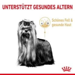 ROYAL CANIN Yorkshire Terrier 8+ Für ältere Hunde 1,5 Kg 10 ROYAL CANIN Yorkshire Terrier 8+ Für ältere Hunde 1,5 Kg -Heimtierbedarf Geschäft 6820f5d1668861335aff838ca8d75b9ceca269c3 0b00c689a5c0f3d962d4b7472621f235a6da7ba2