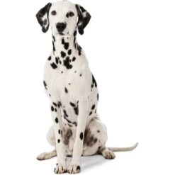 MORE Liegeplatz Karo LOOKS By Wolfgang Joop M 8 MORE Liegeplatz Karo LOOKS By Wolfgang Joop M -Heimtierbedarf Geschäft 6828406bf5c097465ec912985de2b95c60385f12 1410461 3