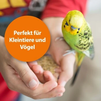 Ardap Milben- Und Zeckenspray Für Nager Und Vögel 100ml 4 Ardap Milben- Und Zeckenspray Für Nager Und Vögel 100ml – Bild 4