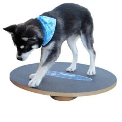 Altranet Fitpaws 20 Wobble Board
