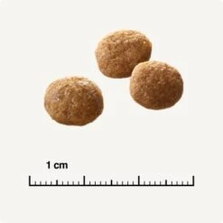 SELECT GOLD +12 Senior Geflügel & Reis 2,5 Kg -Heimtierbedarf Geschäft 6db53d99e99530132bf34d8482d69f423780c004 1081823016 de DE 6