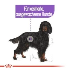 ROYAL CANIN Sterilised Maxi 12 Kg -Heimtierbedarf Geschäft 6ebba30103677b140267651b6c1cc3e27c295bec 1376254 de DE oajs 5