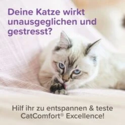 Beaphar CatComfort Excellence Starter-Kit 48ml -Heimtierbedarf Geschäft 6fdca6f354e1543df4c6d643f7d274cd6651ccda 1416646 1 2