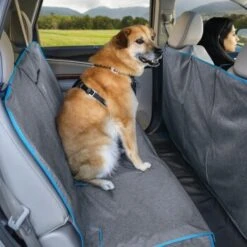 Kurgo Coast To Coast Auto-Hängematte Für Hunde, Grau 12 Kurgo Coast To Coast Auto-Hängematte Für Hunde, Grau -Heimtierbedarf Geschäft 704d4c05952d3b7e60a4b4adad9b8f003bd9801c 1481165 de DE b8cf6cfb84ad19e9cd5afc951afb32aa60abccf9E5UF4B