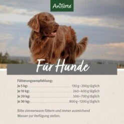 Aniforte WildBuffalo Büffel Mit Spinat 2,4 Kg 10 Aniforte WildBuffalo Büffel Mit Spinat 2,4 Kg -Heimtierbedarf Geschäft 74fabe08661b127a19cecb43c5d981b64161f452 1422176 de DE ecf8c646fa9f7a73ce2de360e52f7434941d6424M3kGzG