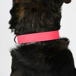 THE DOG IDEA Biothane Halsband Pink Pfirsich XS 7 THE DOG IDEA Biothane Halsband Pink Pfirsich XS -Heimtierbedarf Geschäft 765ac9bab9d442e8a54d47ba6250bb460553f5c7 1487837 de DE ae76149b2003ebab0b9566751b2be185ae89fa35f16w3V