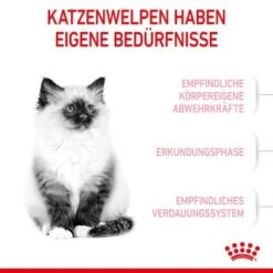 ROYAL CANIN Kitten 4 Kg 12 ROYAL CANIN Kitten 4 Kg -Heimtierbedarf Geschäft 76c69f287cfbe56e3ecbc6374c1c83282049ff9f 3182550702973 4