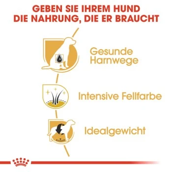 ROYAL CANIN Zwergschnauzer Adult 3kg 3 ROYAL CANIN Zwergschnauzer Adult 3kg – Bild 3