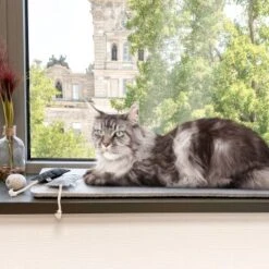 Canadian Cat Company Filzmatte Für Fensterbank Hellgrau S -Heimtierbedarf Geschäft 7885f06a61233bc404e6a3aa7f8cd882fde8d497 1498575 de DE 613cf8659fcca6edb1e226239a406f420c510b04Tro7m3