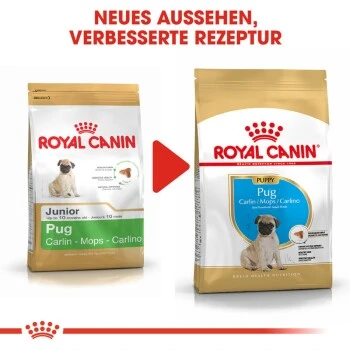 ROYAL CANIN Mops Puppy 1,5 Kg 4 ROYAL CANIN Mops Puppy 1,5 Kg – Bild 4