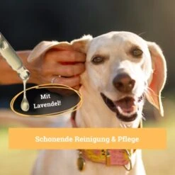 BeG Buddy Ohrreiniger Für Hunde, Juckreiz, Verschmutzung & Ohrmilben, Ohrenpflege Hund 9 BeG Buddy Ohrreiniger Für Hunde, Juckreiz, Verschmutzung & Ohrmilben, Ohrenpflege Hund -Heimtierbedarf Geschäft 7b60a3022ebb426552422fbdc4dd8d77c64be8cf 1500787 de DE b51c870aaae4933941aa890d02263a49251d01d5OgvvjE