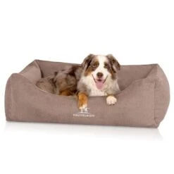 Knuffelwuff Orthopädisches Hundebett Mit Fächer-Wendekissen Baltimore Beige M-L -Heimtierbedarf Geschäft 7db3e1a0c07b06fbbffb9c499d68b8d29fe02a5d 1412225 de DE 96b0dc269c57c45d2a760eeab3915071ac28fc79GWqBkT