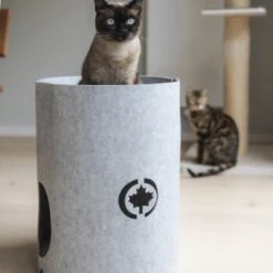 Canadian Cat Company Filzbett Owen-Tower 10 Canadian Cat Company Filzbett Owen-Tower -Heimtierbedarf Geschäft 7de15b7ab3d0a3da50a54b91f1a6b746b12be302 1394209 de DE 768a45a9be27cfd0fb27e1bf0942b4e67e500c7ee16ity