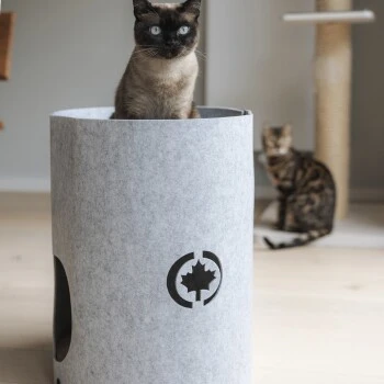 Canadian Cat Company Filzbett Owen-Tower 3 Canadian Cat Company Filzbett Owen-Tower – Bild 3