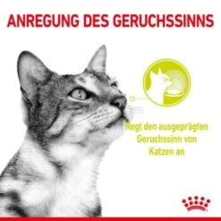 ROYAL CANIN SENSORY Smell In Gelee Für Wählerische Katzen 12x85g -Heimtierbedarf Geschäft 8189732b9ae1a398fb4fb109d95a4bf54f9ea43e e98d42f060ba951a9dc658034746788da77dfcfd