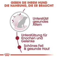 ROYAL CANIN Medium Ageing 10+ 10x140g -Heimtierbedarf Geschäft 81bda48a71abccae72ce5cbcbb05544973ab46f8 fbf75e1686fe1251afcecaefa9adc99c4a2b252a