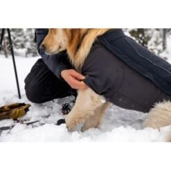Ruffwear Cloud Chaser™ Hundejacke Schwarz XXS 17 Ruffwear Cloud Chaser™ Hundejacke Schwarz XXS -Heimtierbedarf Geschäft 839577c6525280e266f62f99f67ccc111fd75c4b 1369623 de DE 87ed046f15d6c099e4f33a0b92b8494c495a6d97bF4WS9