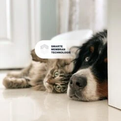 KYVETIN Spray Skin Repair Für Hunde Und Katzen 14 KYVETIN Spray Skin Repair Für Hunde Und Katzen -Heimtierbedarf Geschäft 851cbfa418e315e47d7ba499ec62be71e3229497 1364195 de DE KyvetinSpray 7