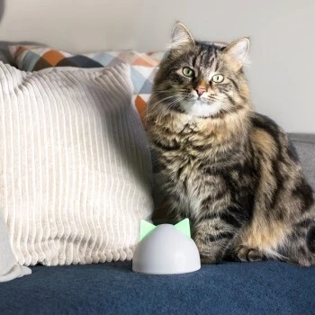 SureFlap Sure Petcare Hub 5 SureFlap Sure Petcare Hub – Bild 5