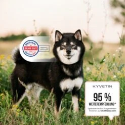 KYVETIN Spray Skin Repair Für Hunde Und Katzen 12 KYVETIN Spray Skin Repair Für Hunde Und Katzen -Heimtierbedarf Geschäft 855eb3c7fca7c841451cde094ef9ccbea4bfbca8 1364195 de DE KyvetinSpray 5