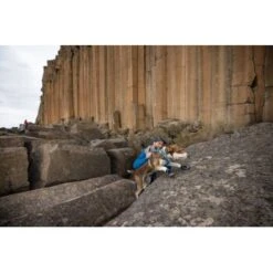 Ruffwear Grip Trex™ Hundeschuhe 15 Ruffwear Grip Trex™ Hundeschuhe -Heimtierbedarf Geschäft 8a04129089dd0c034c3440ca2f5a059543497a42 1363993 de DE 62eaf59e4c30b32a0494684f66bc46a3e77f909dJ6uyPm