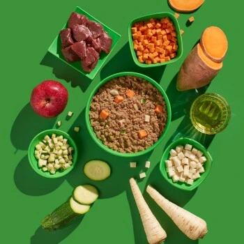 Fred & Felia FRED 10x390g Reh Mit Süßkartoffeln 4 Fred & Felia FRED 10x390g Reh Mit Süßkartoffeln – Bild 4