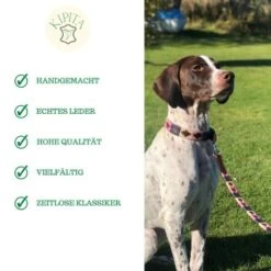 Kipita Polo Hundeleine Rainbow -Heimtierbedarf Geschäft 8abb42b32cbc1eac256c2e5aaed5b5ad720cf72c 1410959 de DE e149407534bdcfb2672e3057857c7f56cd770233aiC6wq