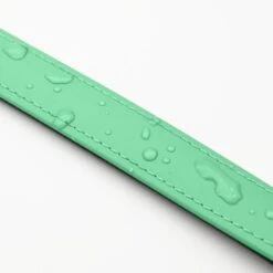 THE DOG IDEA Biothane Halsband Mint Mint S 10 THE DOG IDEA Biothane Halsband Mint Mint S -Heimtierbedarf Geschäft 8b56ebbdaaffac6755df46ff5e991ac1f2e098f1 1679174 de DE 917dddc9a1240fb91bb3a35d4cda568edf48f015TLoJLR