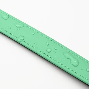 THE DOG IDEA Biothane Halsband Mint Mint S 4 THE DOG IDEA Biothane Halsband Mint Mint S – Bild 4