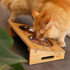 Lionto Futterstation Mit Bambusgestell 7 Lionto Futterstation Mit Bambusgestell -Heimtierbedarf Geschäft 8c56991d507e18b3df4a2f4045dbd93cd3bd9353 1665980 de DE aa6482f6e46fc6375e62da8010ac0599c0ca4960aJFeP6