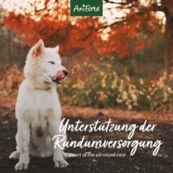 Aniforte 4in1 Complete Dog 8 Aniforte 4in1 Complete Dog -Heimtierbedarf Geschäft 8c5939e9a034077a3552f158dbe5f91fd29e1215 1332843 de DE aca85754970fb7b2c441c0d2dd5fcc395b1360c0UEca49