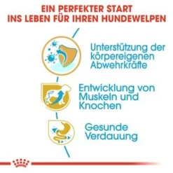 ROYAL CANIN Rottweiler Puppy 12 Kg 12 ROYAL CANIN Rottweiler Puppy 12 Kg -Heimtierbedarf Geschäft 8d21dda75d70b891262dc643821c279db43214b5 cec9e43c5fe78fcc413f4b92efb9158d947af728