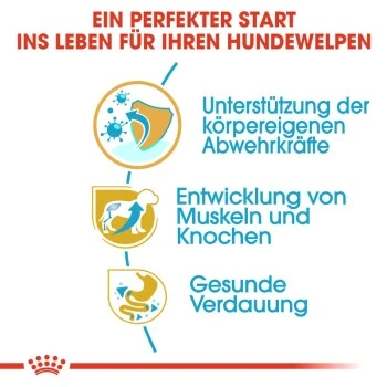 ROYAL CANIN Rottweiler Puppy 12 Kg 6 ROYAL CANIN Rottweiler Puppy 12 Kg – Bild 6