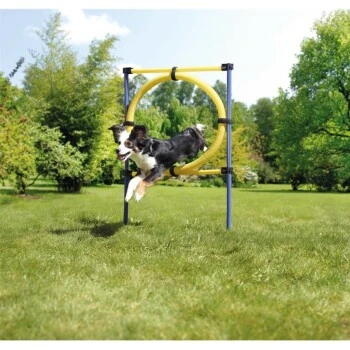 AniOne Agility Set 8 AniOne Agility Set – Bild 8