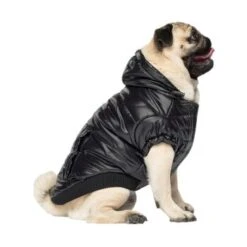 Canada Pooch Glänzende Pufferweste XXS 7 Canada Pooch Glänzende Pufferweste XXS -Heimtierbedarf Geschäft 8ec11177ec9f86d200ff22bc3e0c234ecff91e7e dfb5b396c833a1ace7625fc5796632bee13eda68