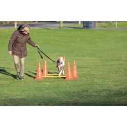 Trixie Dog Activity Hindernisse Ø30x50cm -Heimtierbedarf Geschäft 91cbc45b90b8a0cfe868659f3dcf31f8aff28e6a 1287033 de DE Trixie Hindernisse wb 2