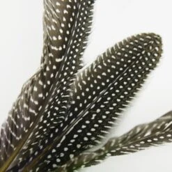 Schlitzohr Katzenangel Federanhänger 5x -Heimtierbedarf Geschäft 93b8e0c984d323f24d455bf8e74e2dbacef5703e 1484675 de DE 7b80f213f44ebcad765dbdebc25bf2d2f0177dbd64kHU2