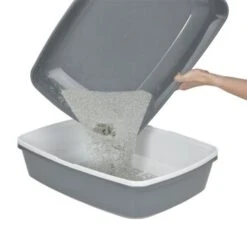 AniOne Geschlossene Sieb-Toilette Clean Cat M 17 AniOne Geschlossene Sieb-Toilette Clean Cat M -Heimtierbedarf Geschäft 941726a08cdb185e30100d1295c01e8694edcc1b 808adb3af3722bfa856577b3fb5ce380e8015eb5