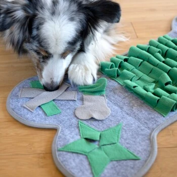 KaraLuna Schnüffelteppich Groß 6 KaraLuna Schnüffelteppich Groß – Bild 6