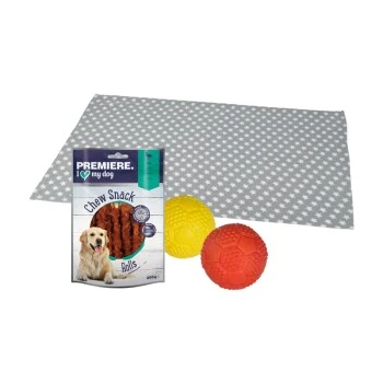 FIT+FUN Set Training - Snack + Ball + Liegedecke 1 FIT+FUN Set Training - Snack + Ball + Liegedecke
