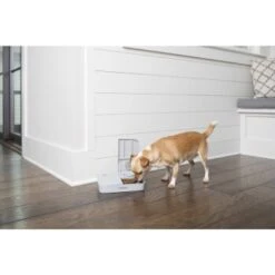 PetSafe Futterautomat Für 2 Mahlzeiten 23 PetSafe Futterautomat Für 2 Mahlzeiten -Heimtierbedarf Geschäft 98670f242f118bad629edcf021dc784c6a55633d 1343837 2