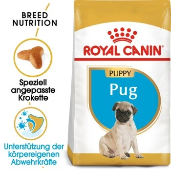 ROYAL CANIN Mops Puppy 1,5 Kg 2 ROYAL CANIN Mops Puppy 1,5 Kg – Bild 2