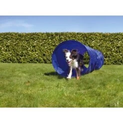 AniOne Agility Tunnel 5 AniOne Agility Tunnel -Heimtierbedarf Geschäft 9b82da119a923abe80bb6d63ef97328c5e1e7dcf 2dc906b772e837b2770e0f896237c640992fd5d2